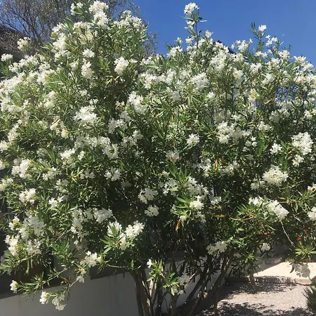 Villa Cleoboulos Líndos