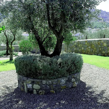 Cleoboulos * Líndos