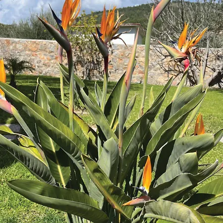 빌라 Cleoboulos 린도스