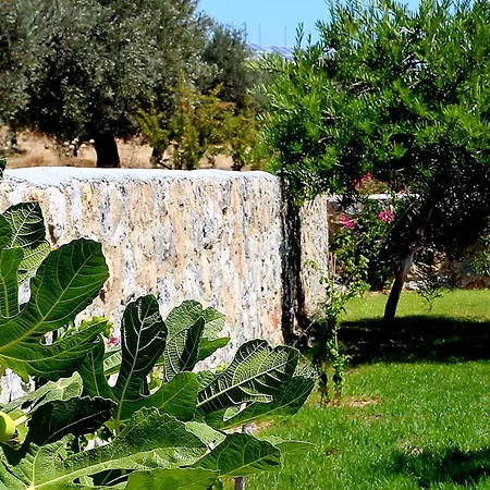 Cleoboulos * 린도스