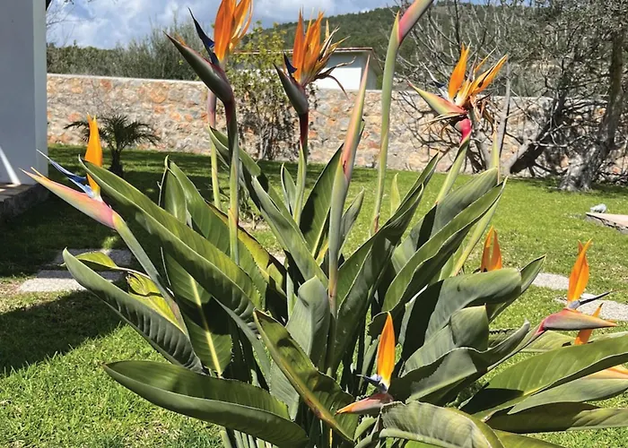 Villa Cleoboulos Líndos