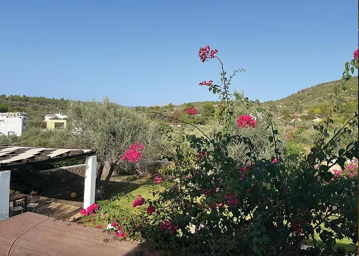 Cleoboulos لينثوس