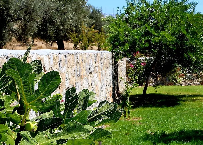 Cleoboulos * لينثوس