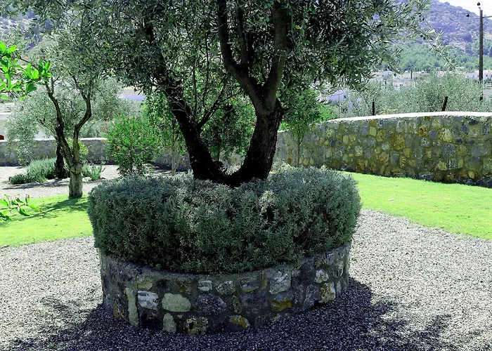 Cleoboulos * 린도스