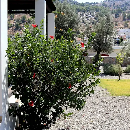 Cleoboulos * Lindos (Rhodes)