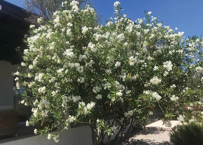 Villa Cleoboulos Lindos (Rhodes)